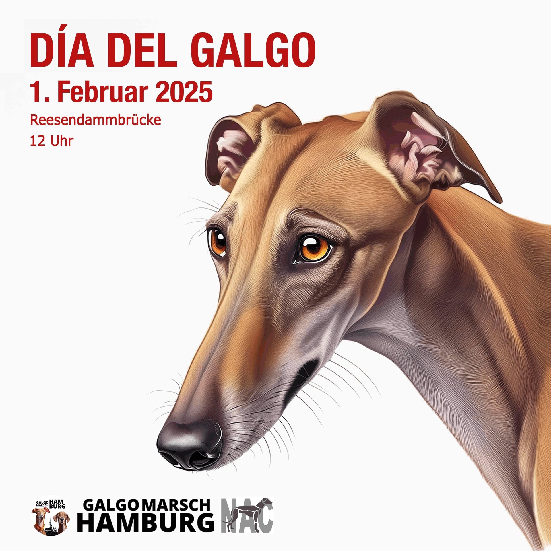 Dia Del Galgo - Galgomarsch Hamburg 1. Februar 2025