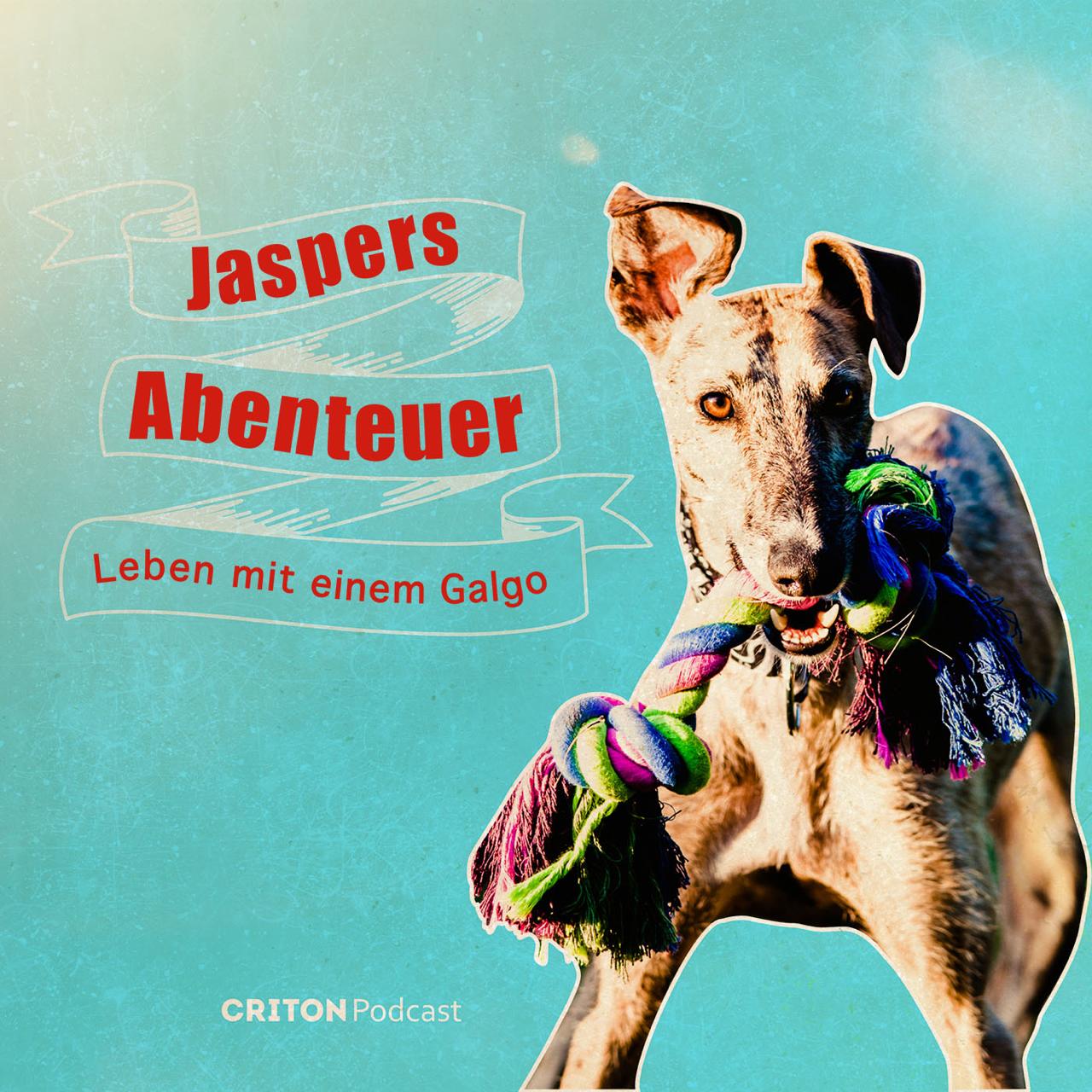 Jaspers Abenteuer - Leben mit einem Galgo