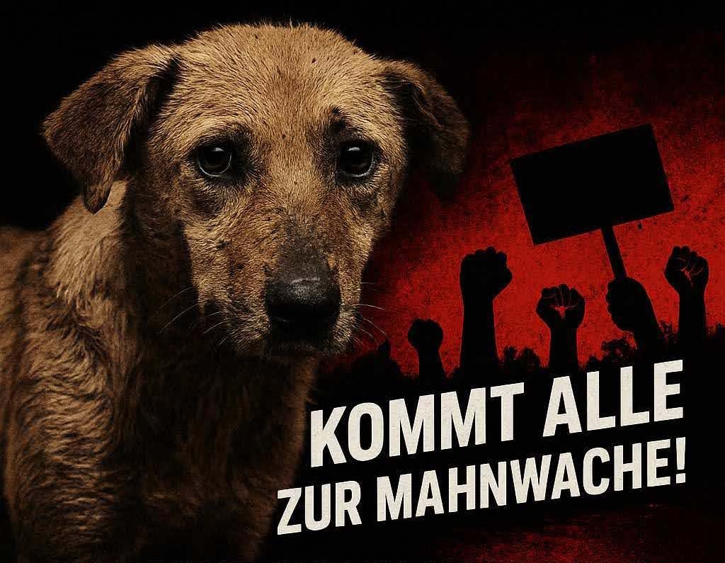 Mahnwache am 23. Mai 2025 in Hamburg 13 Uhr vor dem Türkischen Konsulat