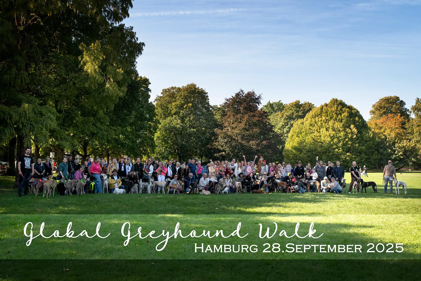 Great Global Greyhound Walk 2025 Great Global Greyhound Walk 2025