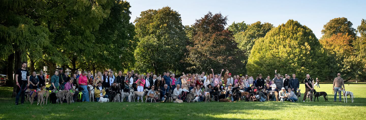 Great-Global-Greyhound-Walk-2025