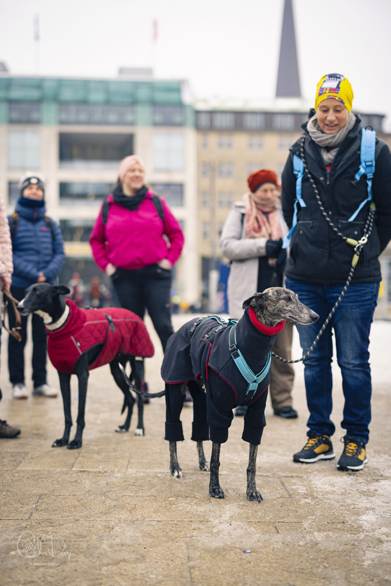 Quirbach Photography