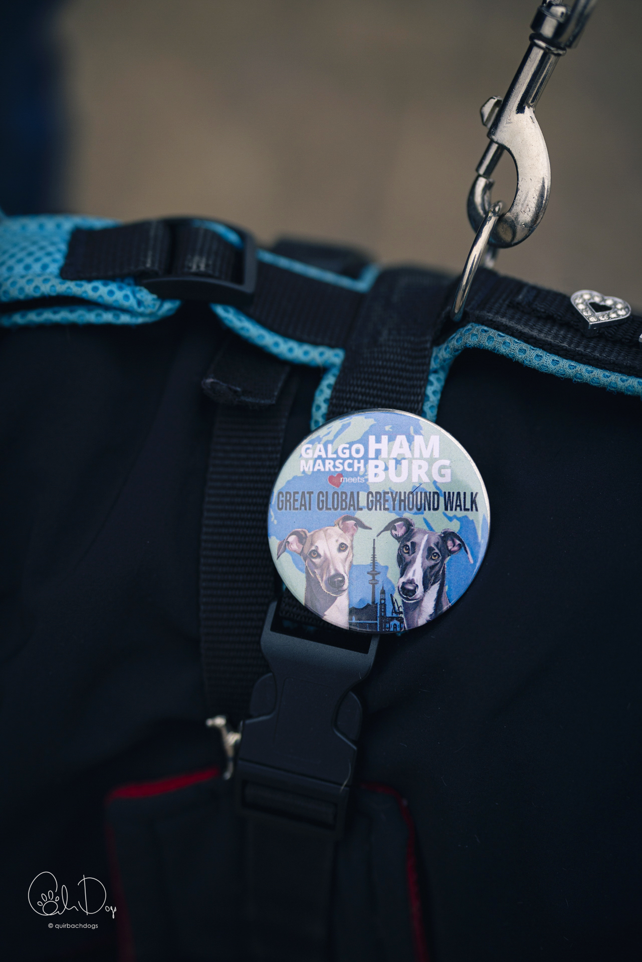 Quirbach Photography