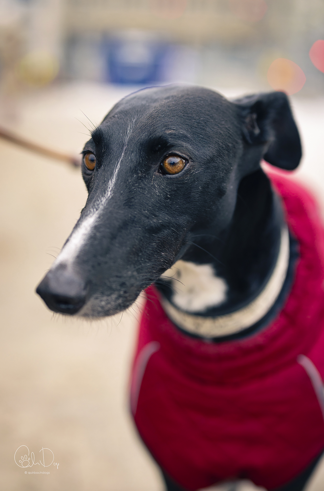 Quirbach Photography