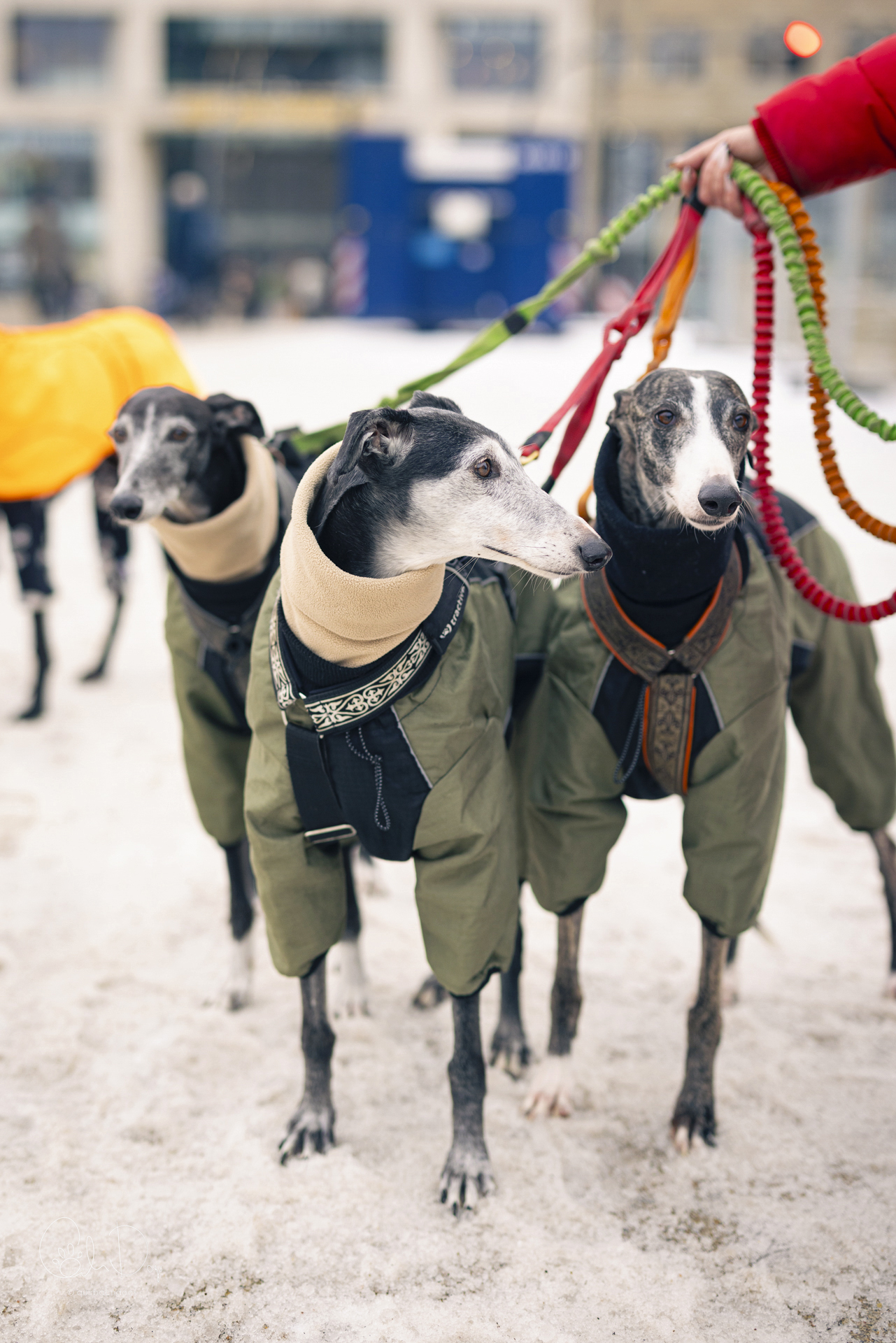 Quirbach Photography