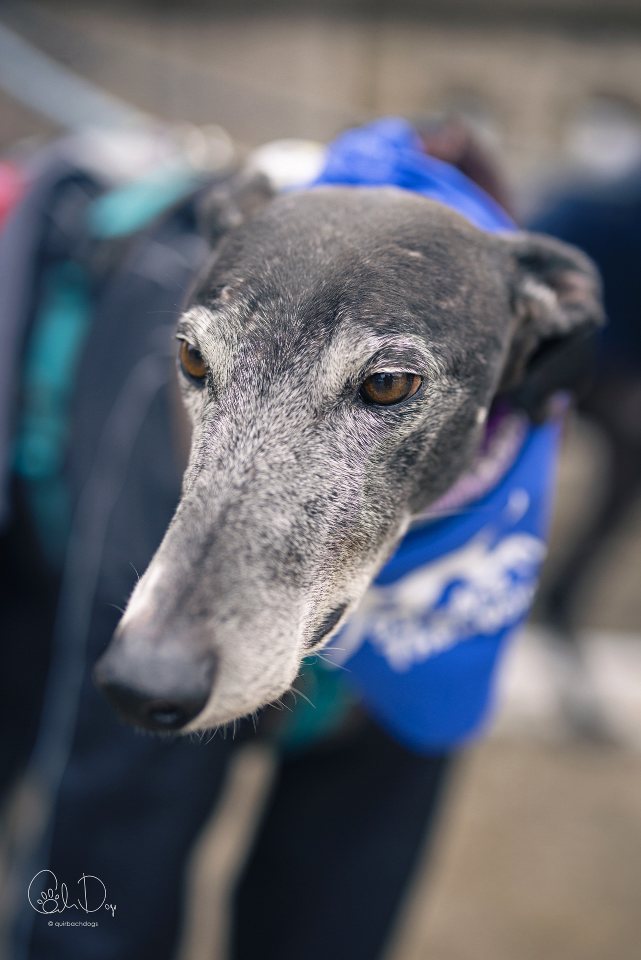 Quirbach Photography