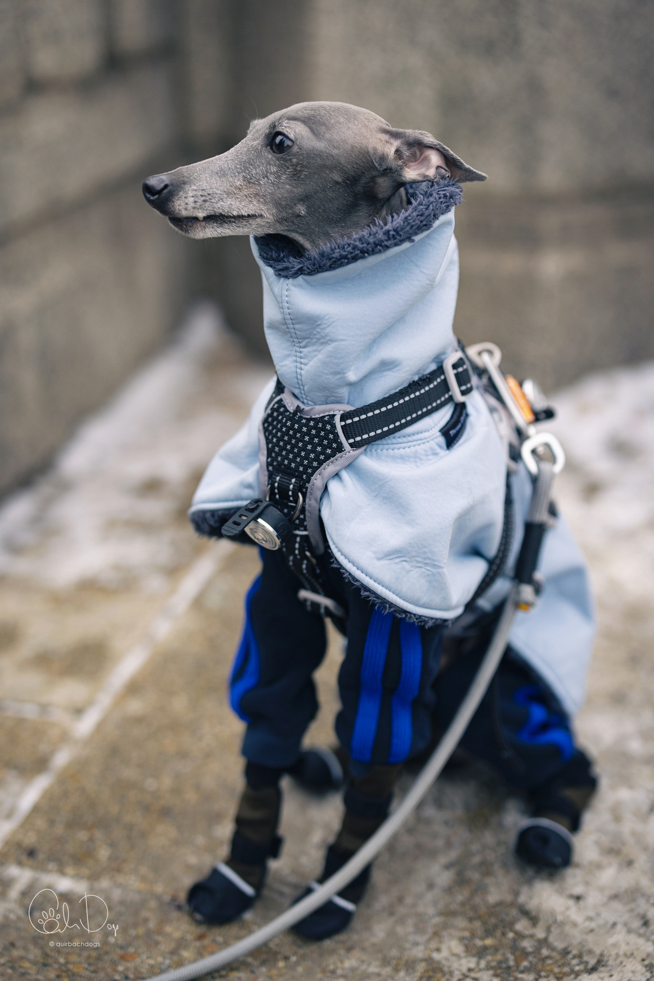 Quirbach Photography