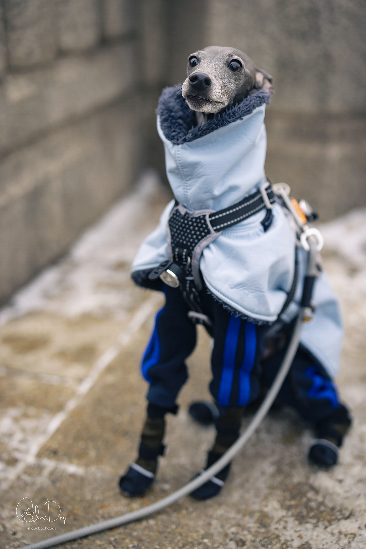 Quirbach Photography