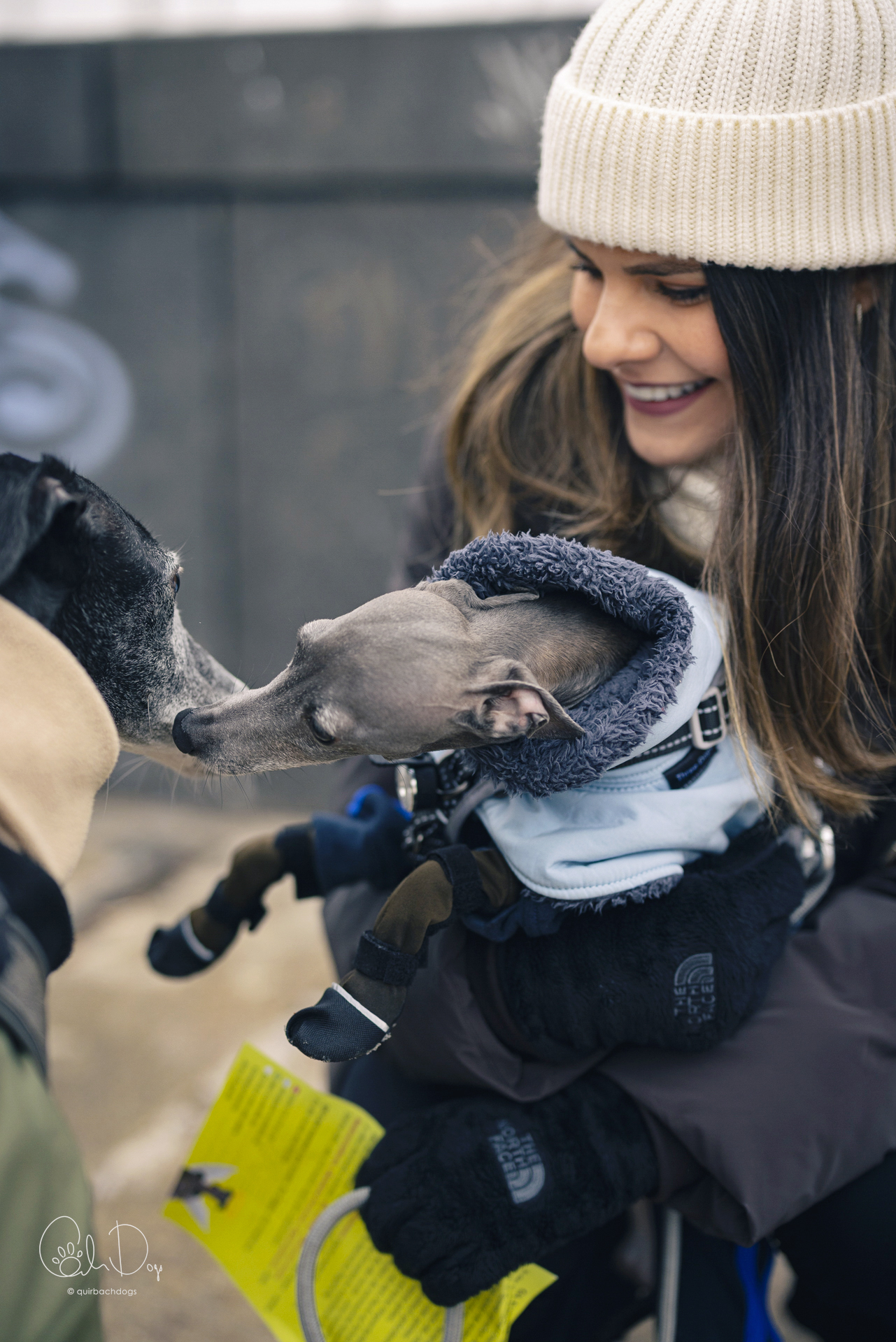 Quirbach Photography