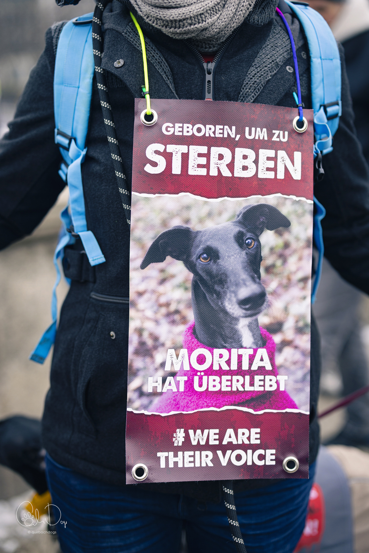 Quirbach Photography