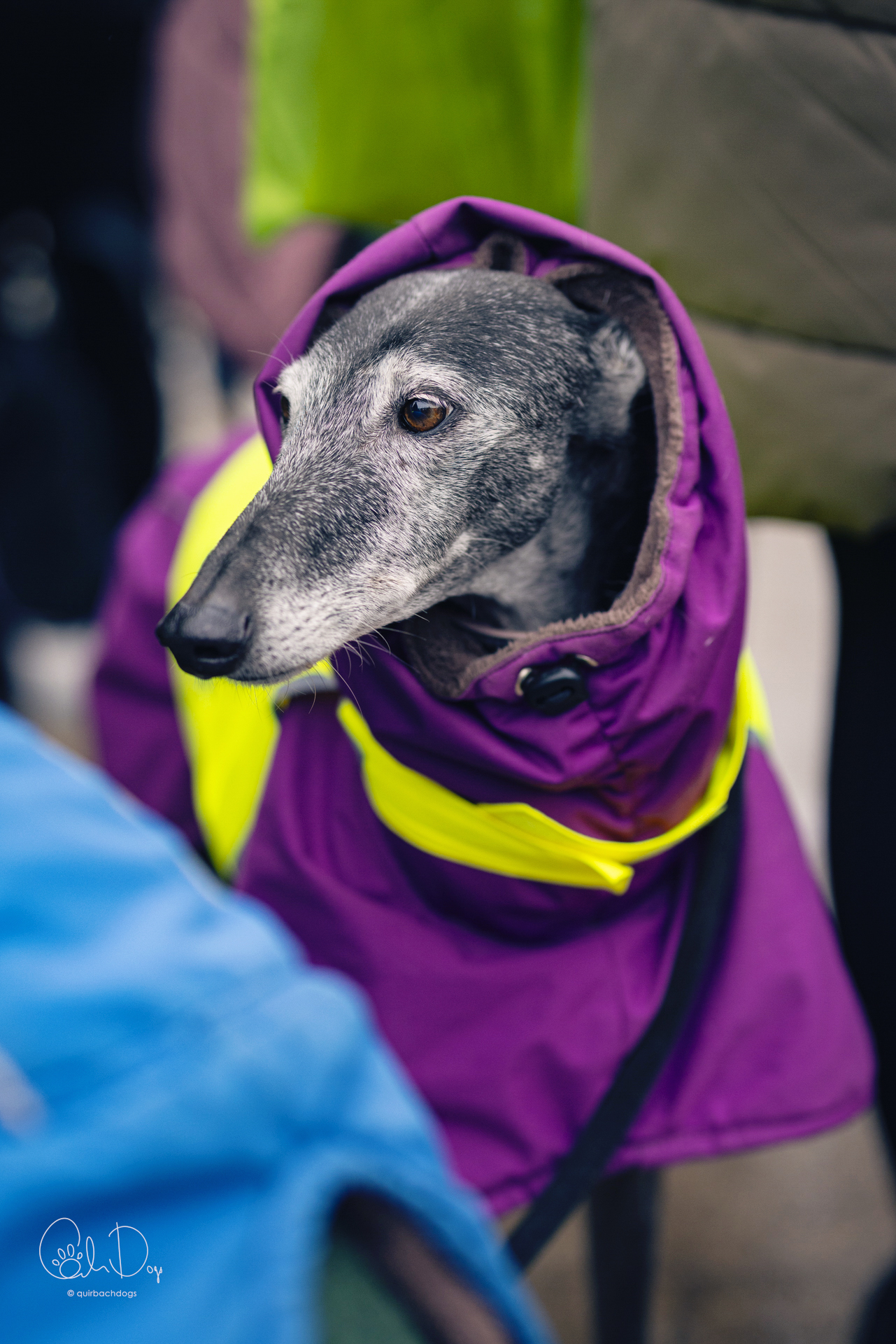 Quirbach Photography