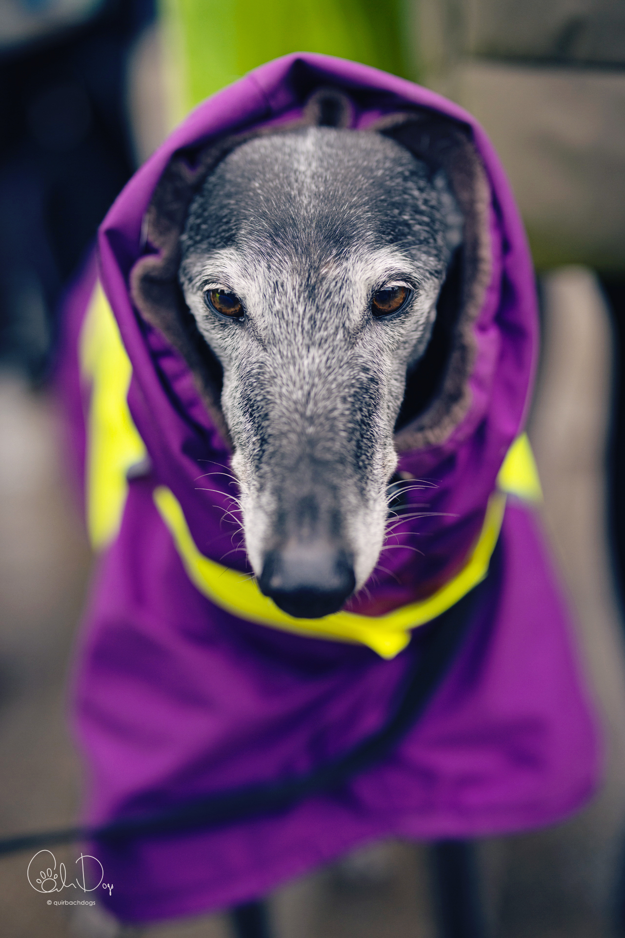 Quirbach Photography