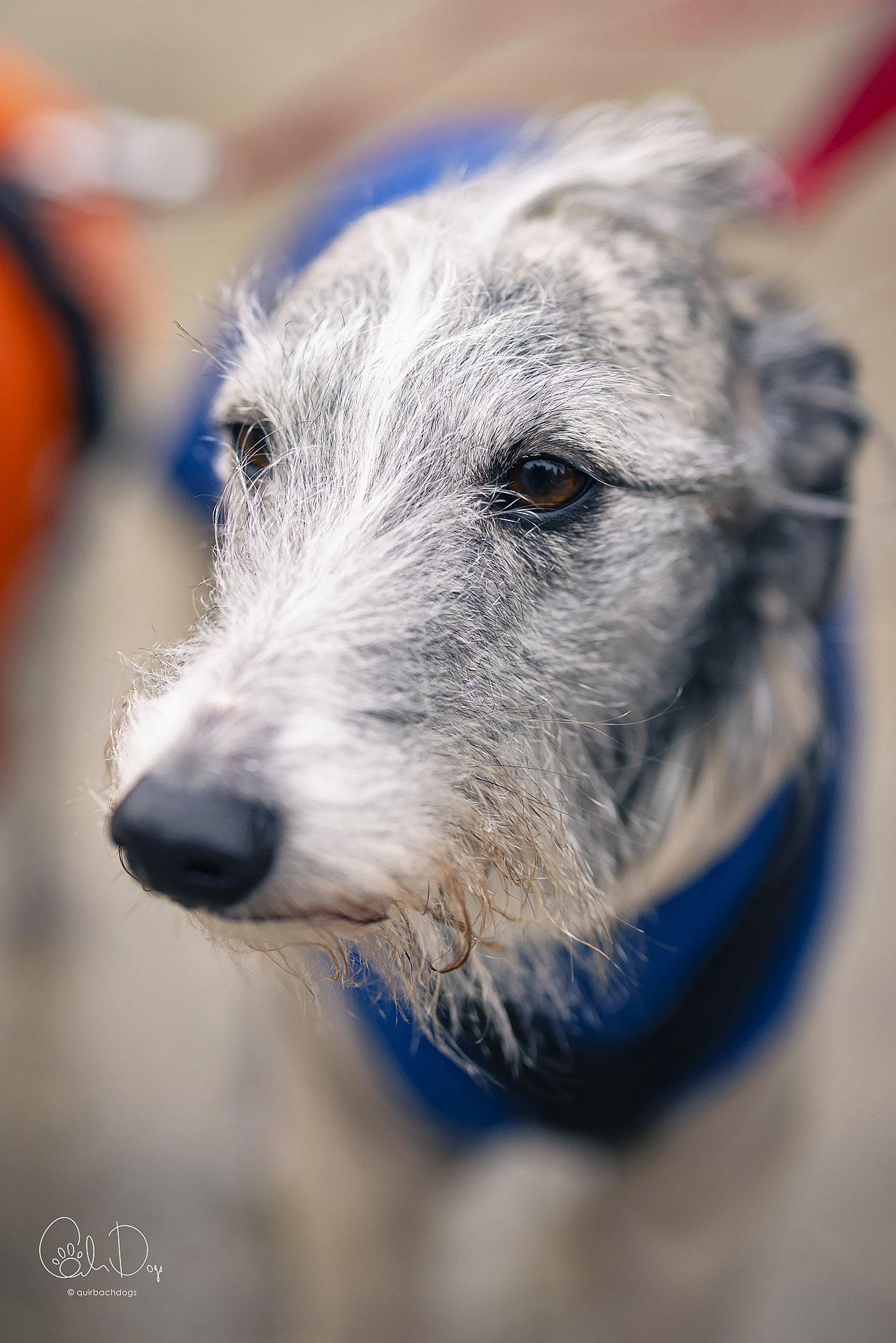 Quirbach Photography