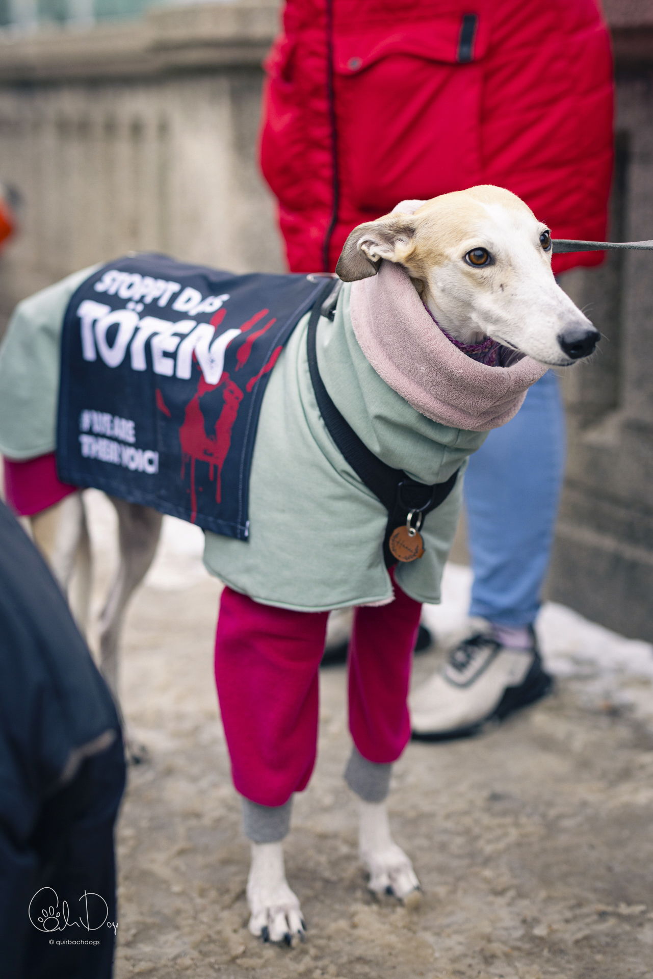 Quirbach Photography