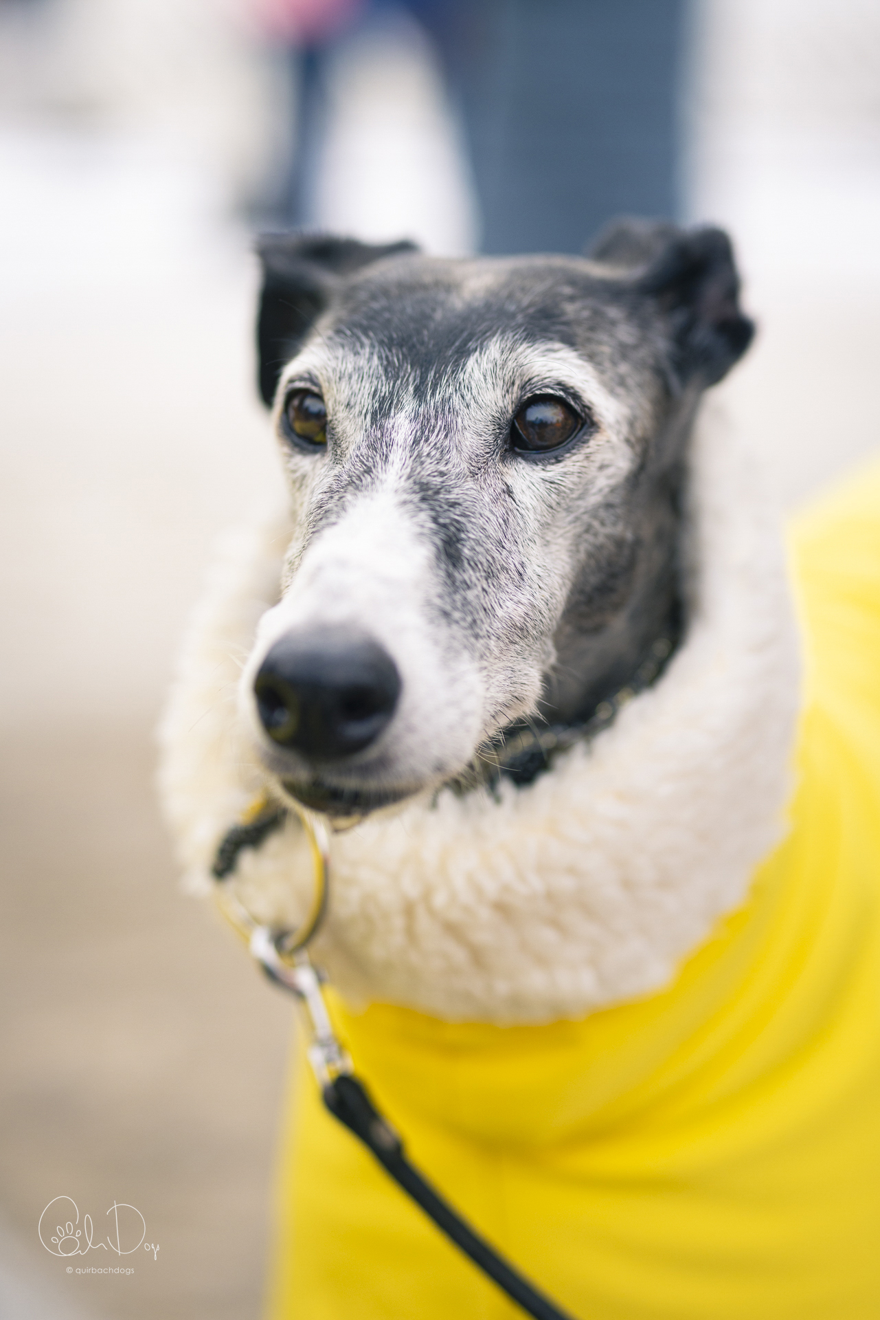 Quirbach Photography