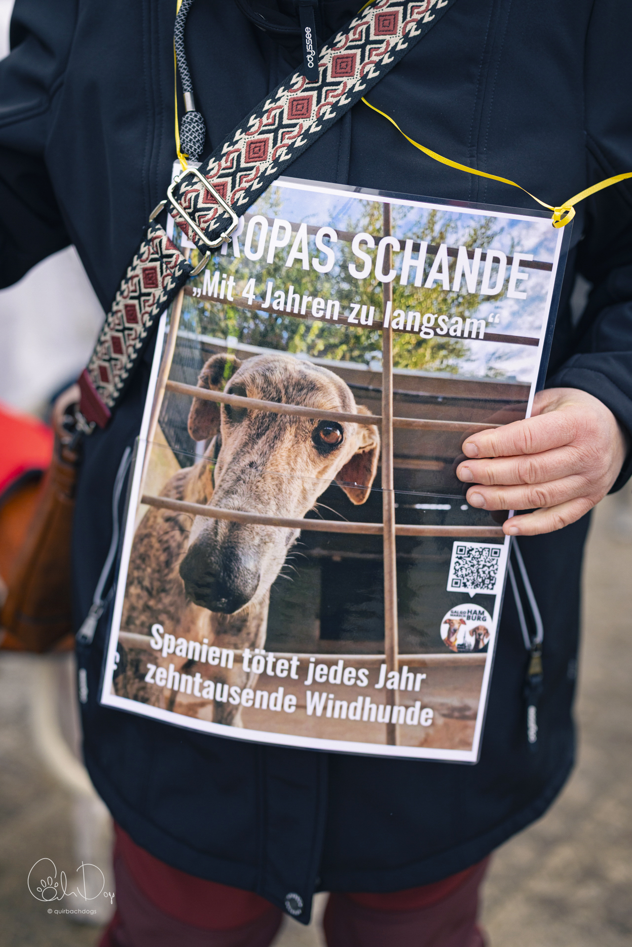 Quirbach Photography