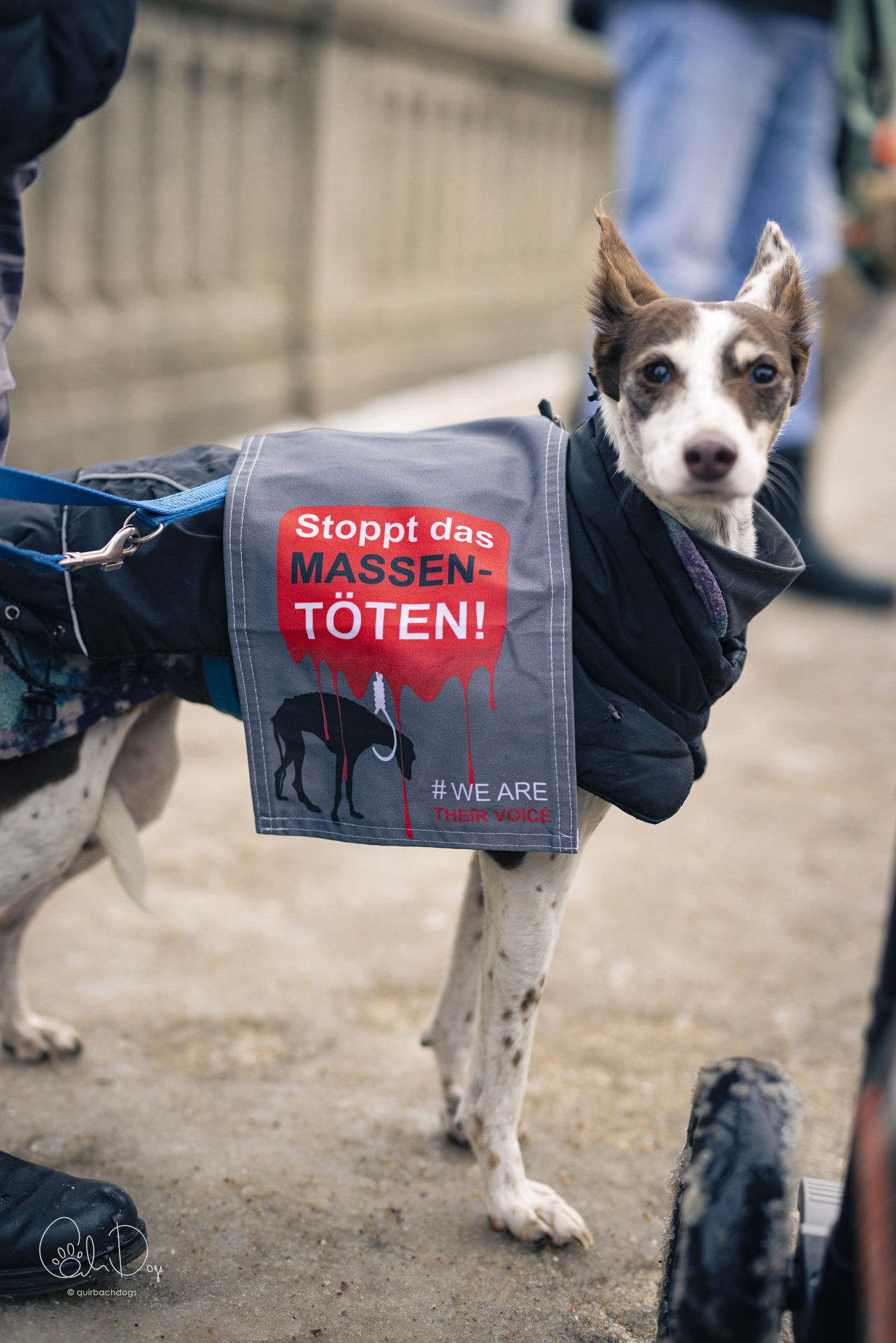 Quirbach Photography