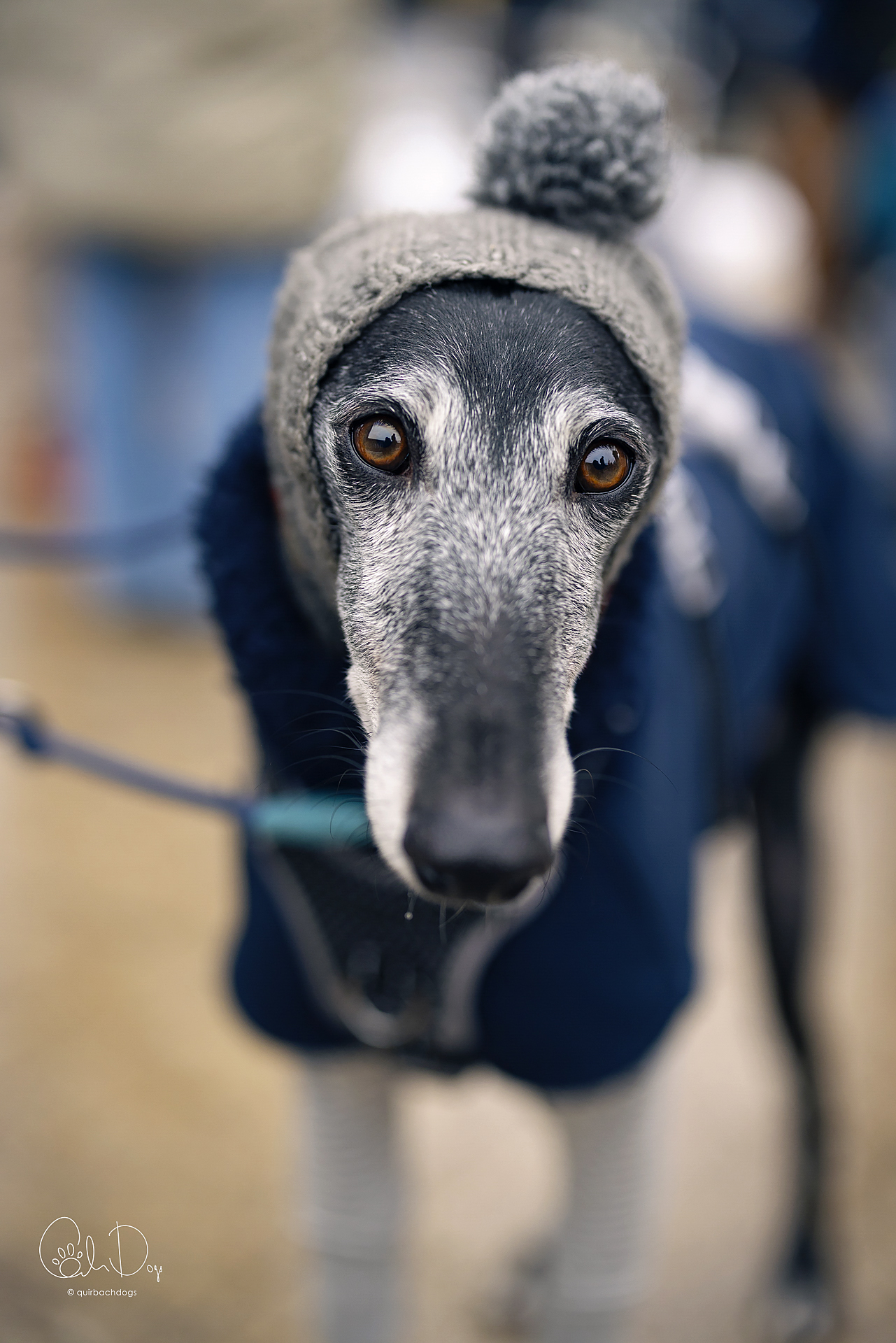 Quirbach Photography