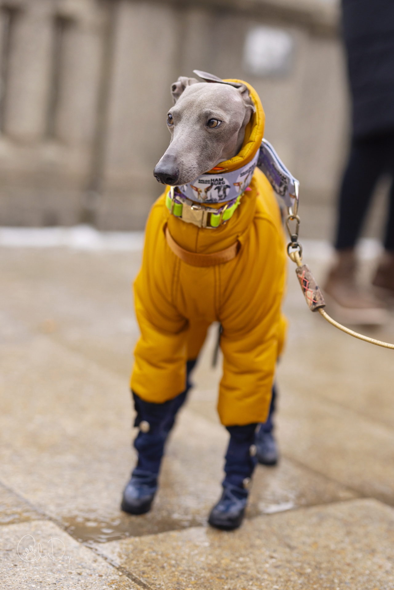 Quirbach Photography