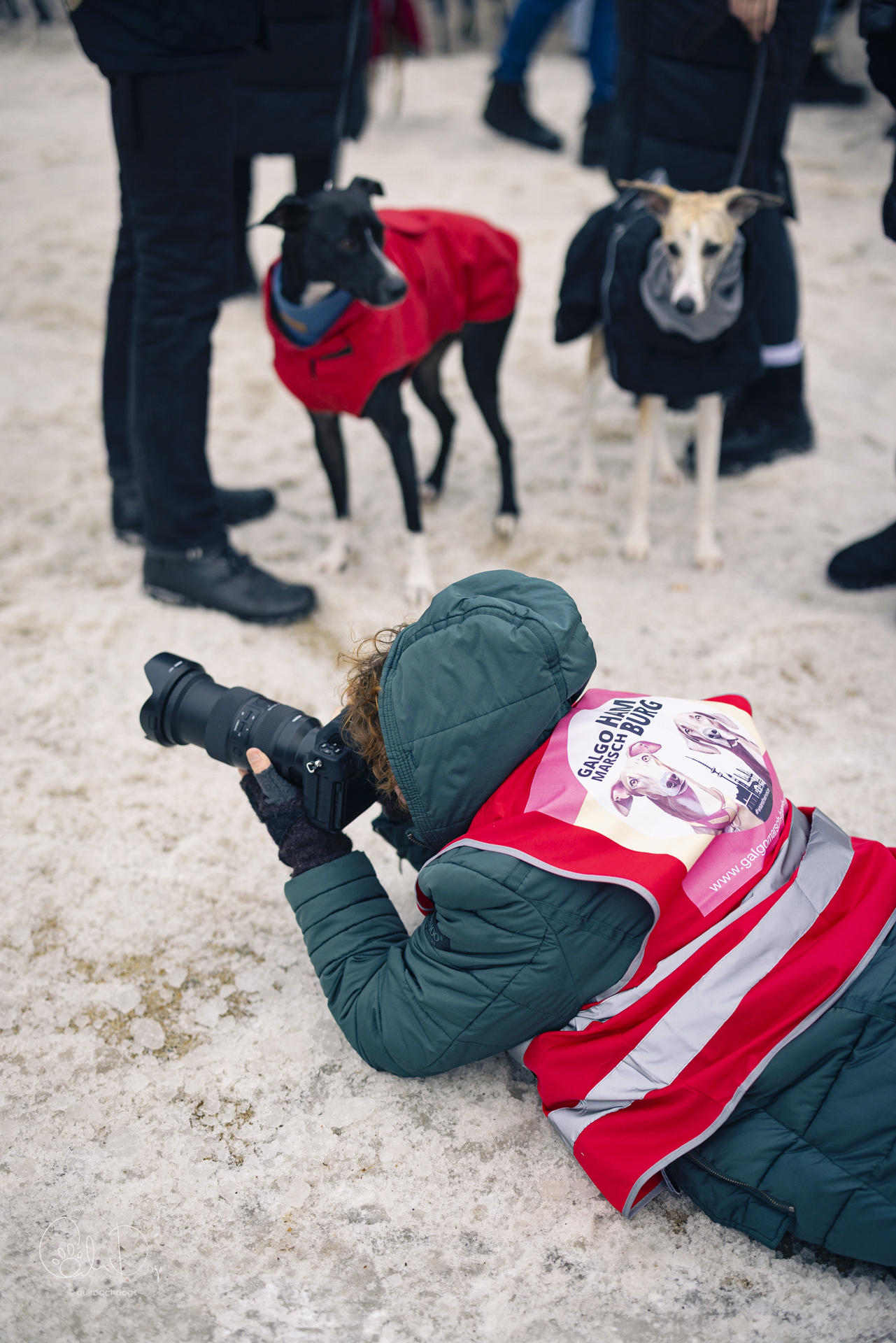 Quirbach Photography