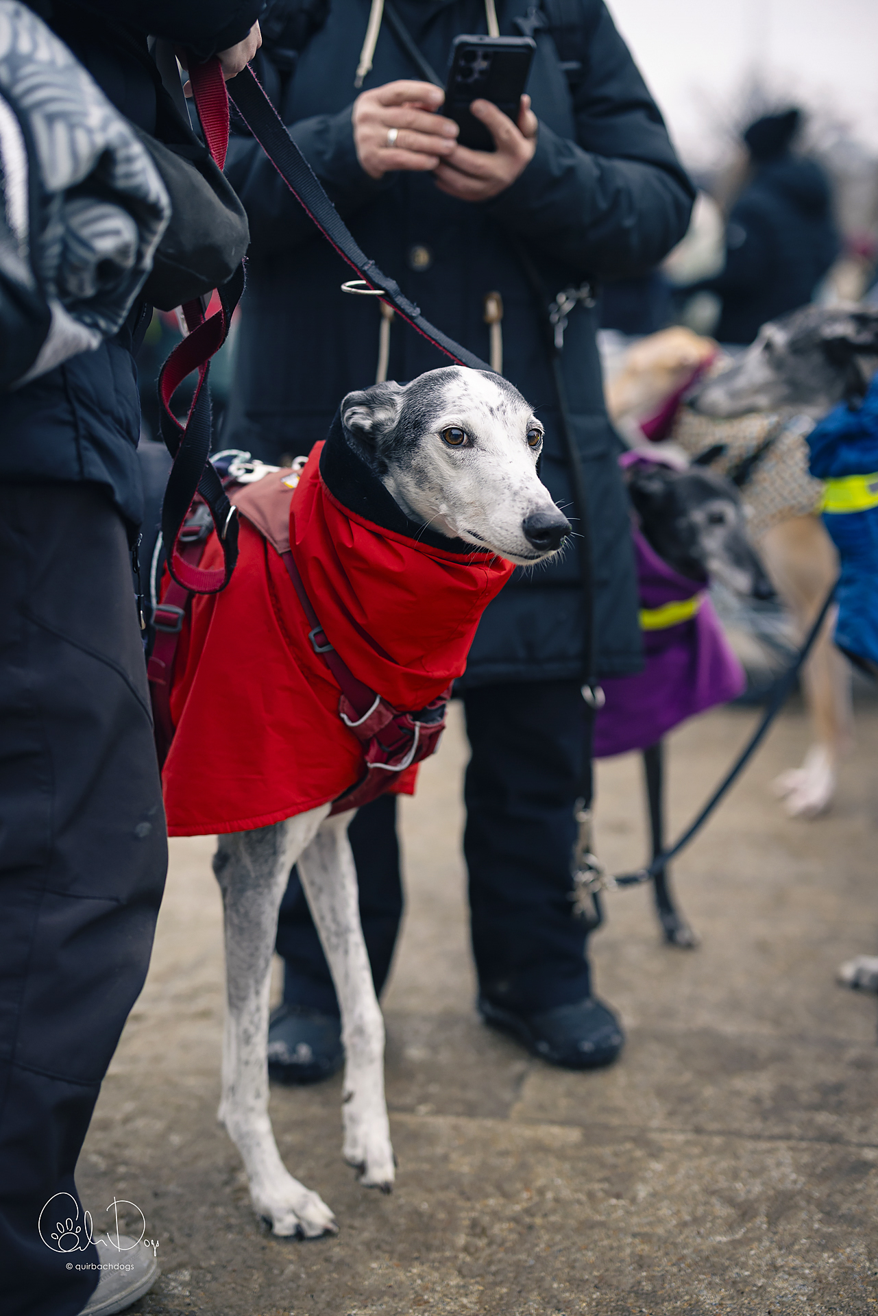 Quirbach Photography