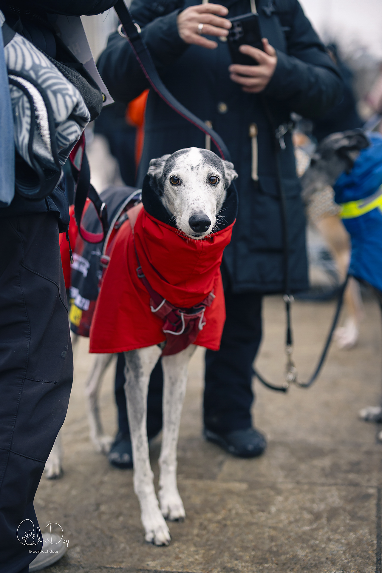 Quirbach Photography