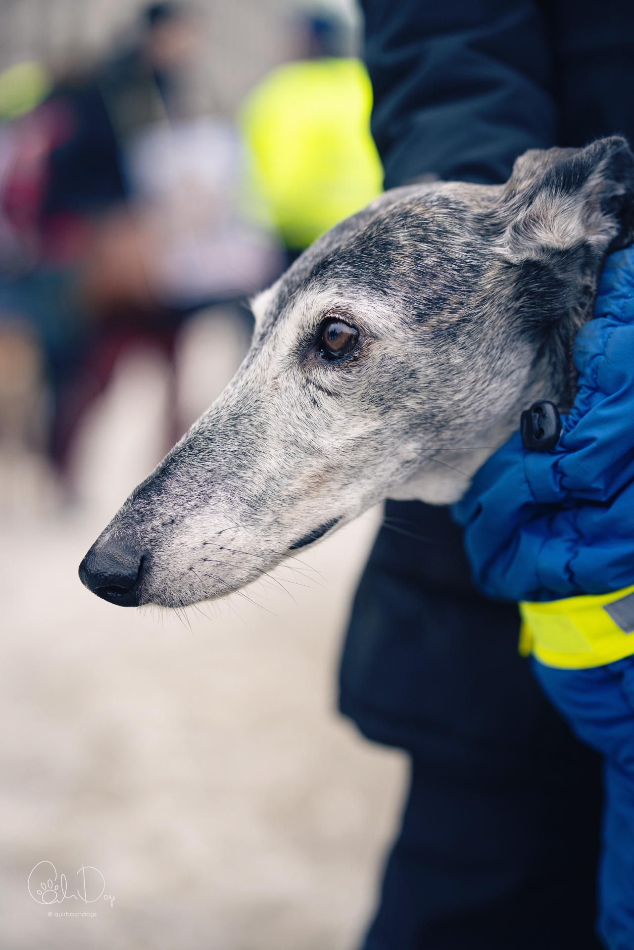 Quirbach Photography