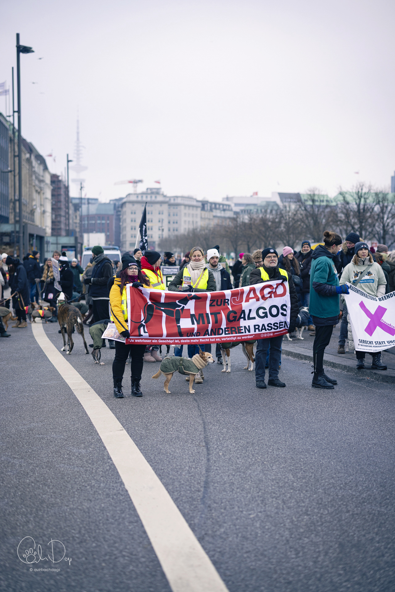 Quirbach Photography