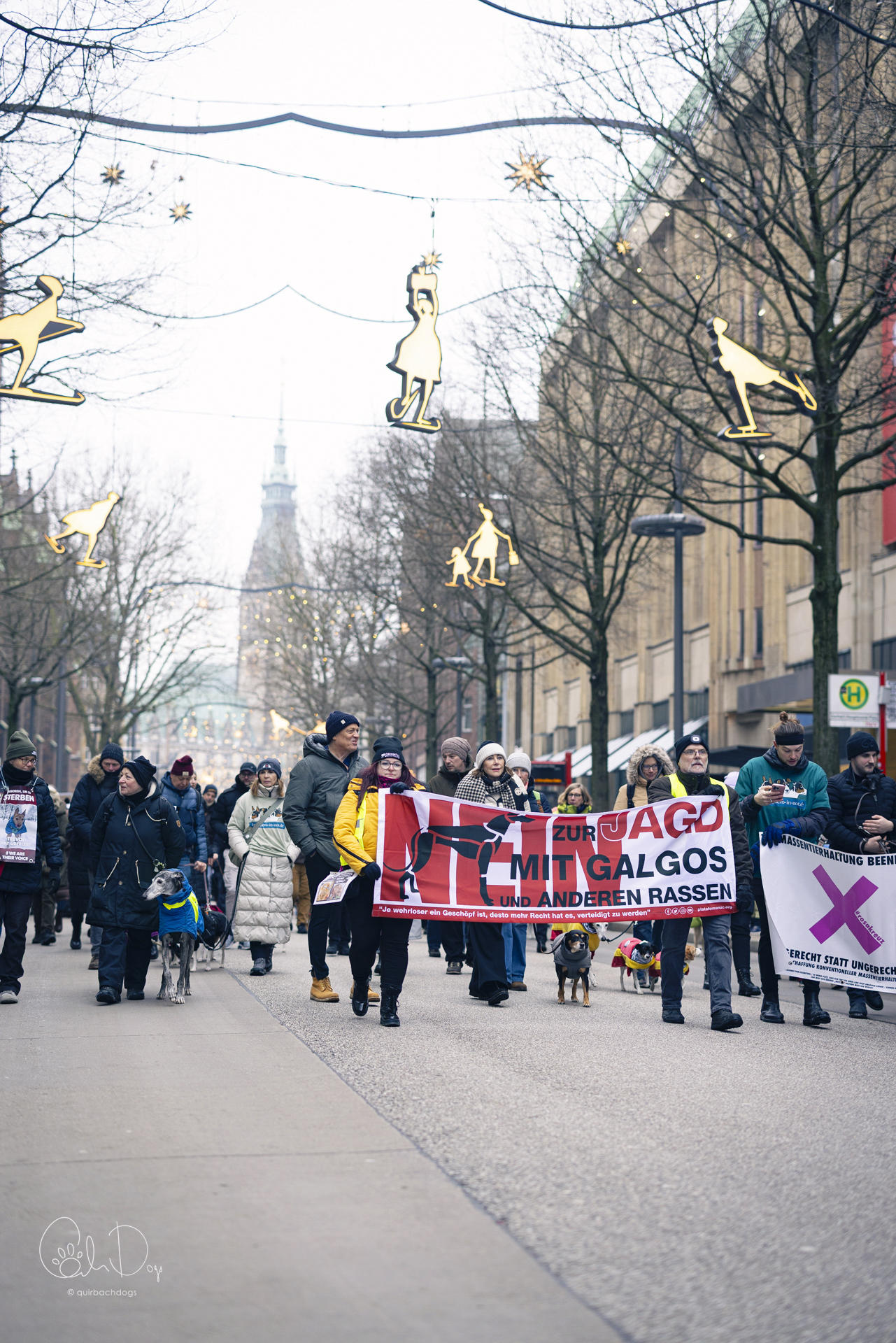 Quirbach Photography