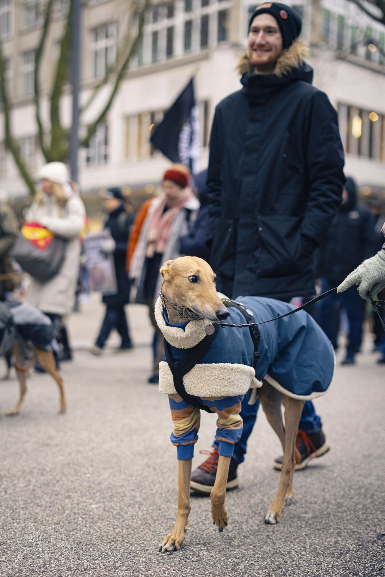 Quirbach Photography