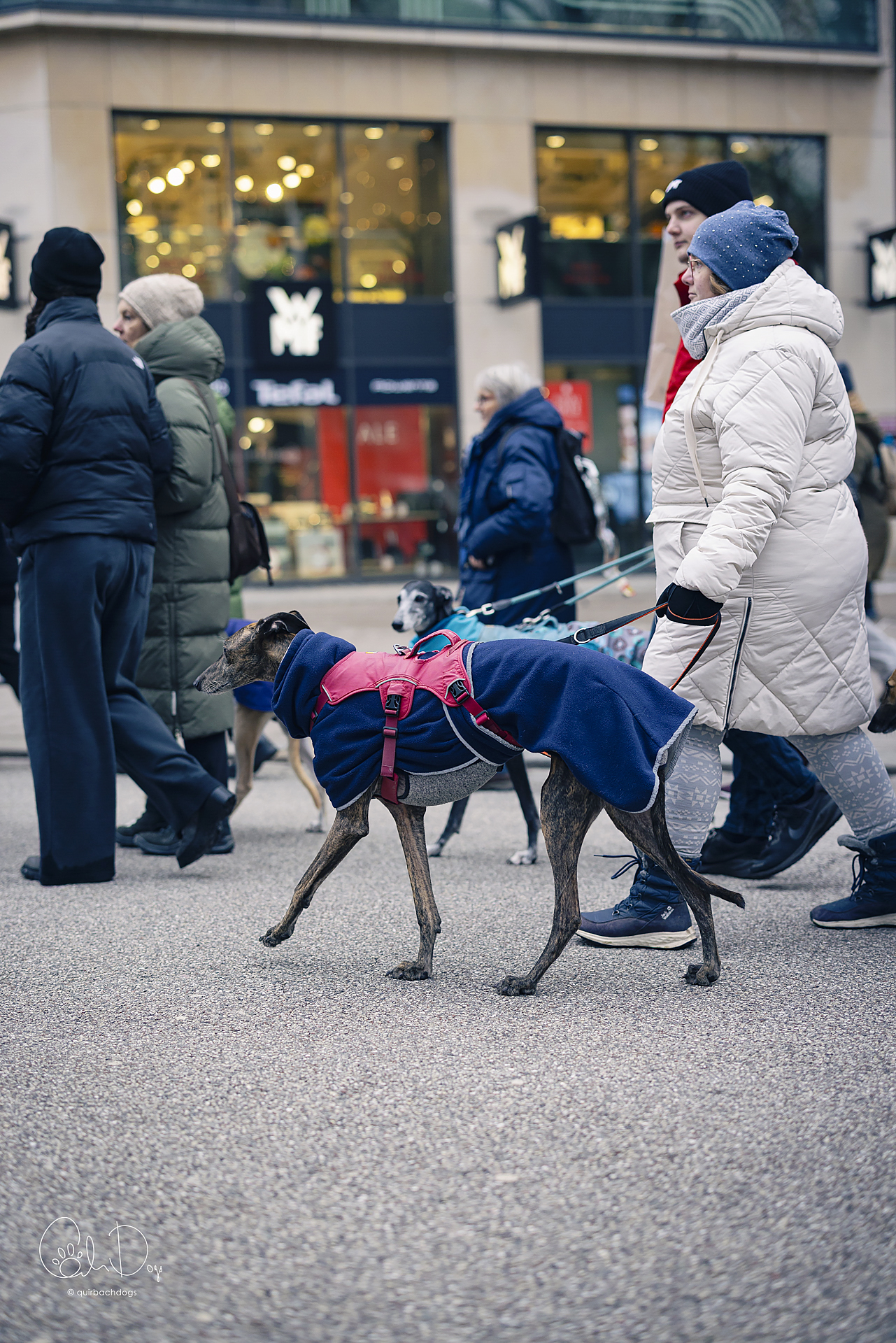 Quirbach Photography