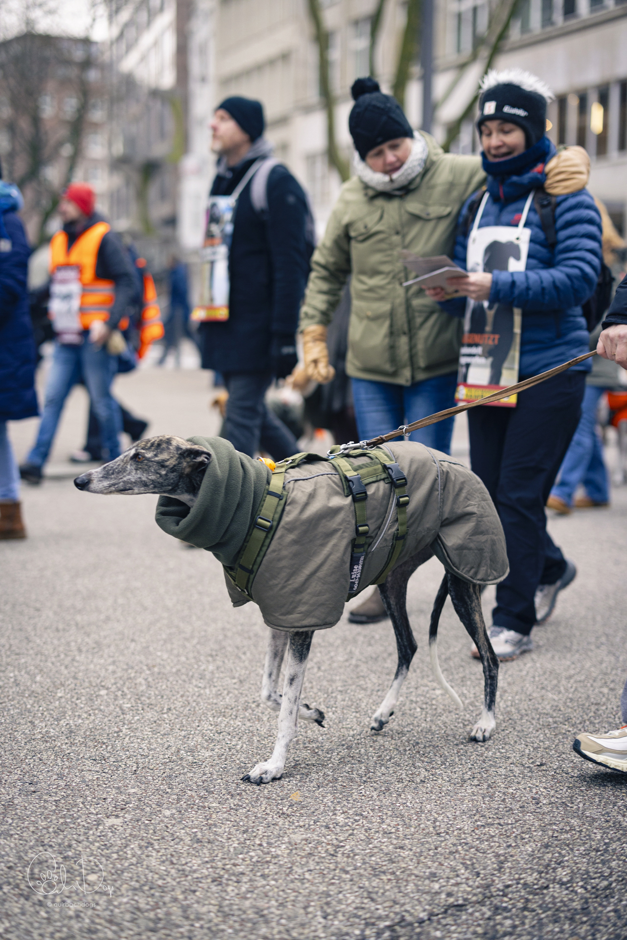 Quirbach Photography