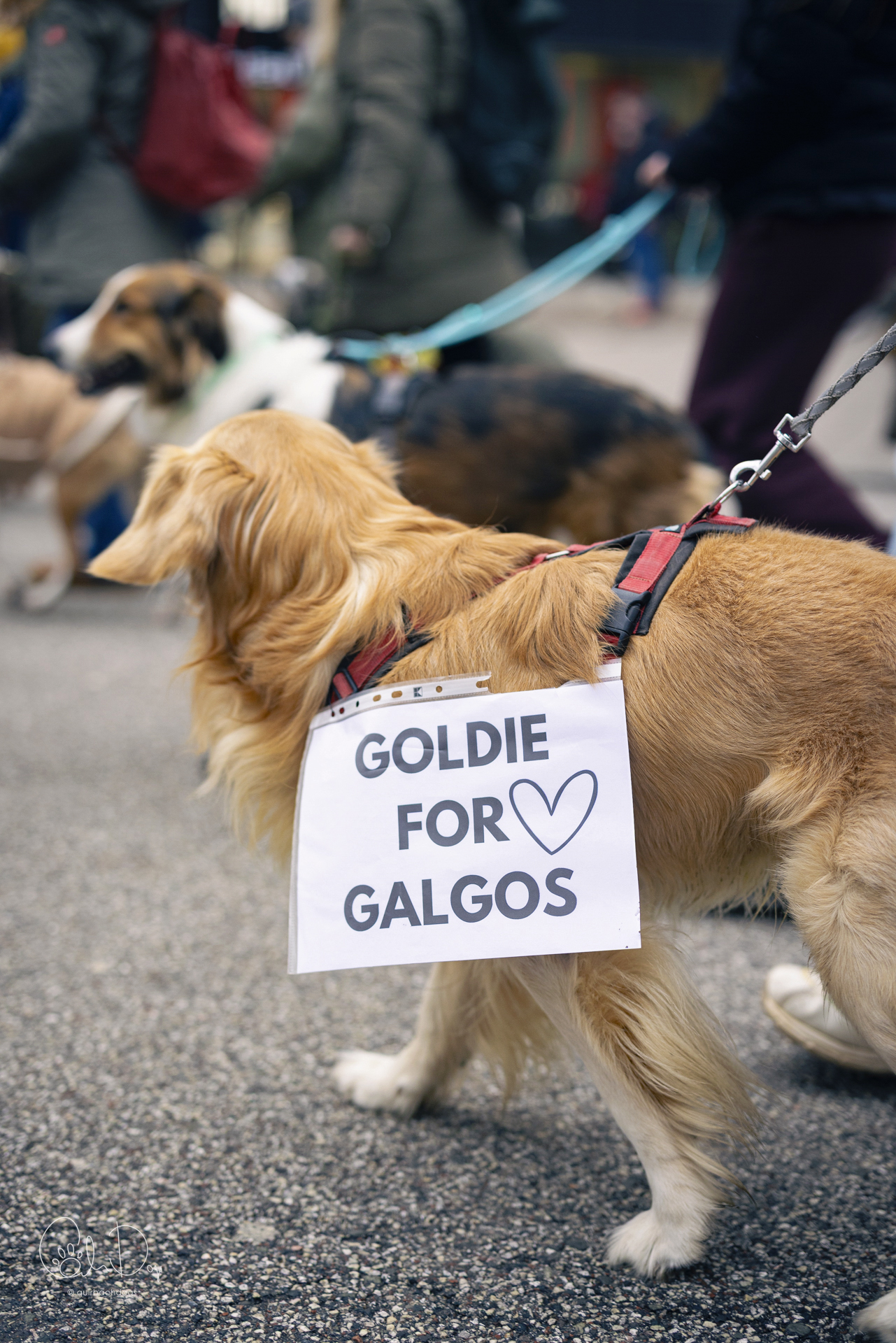 Quirbach Photography