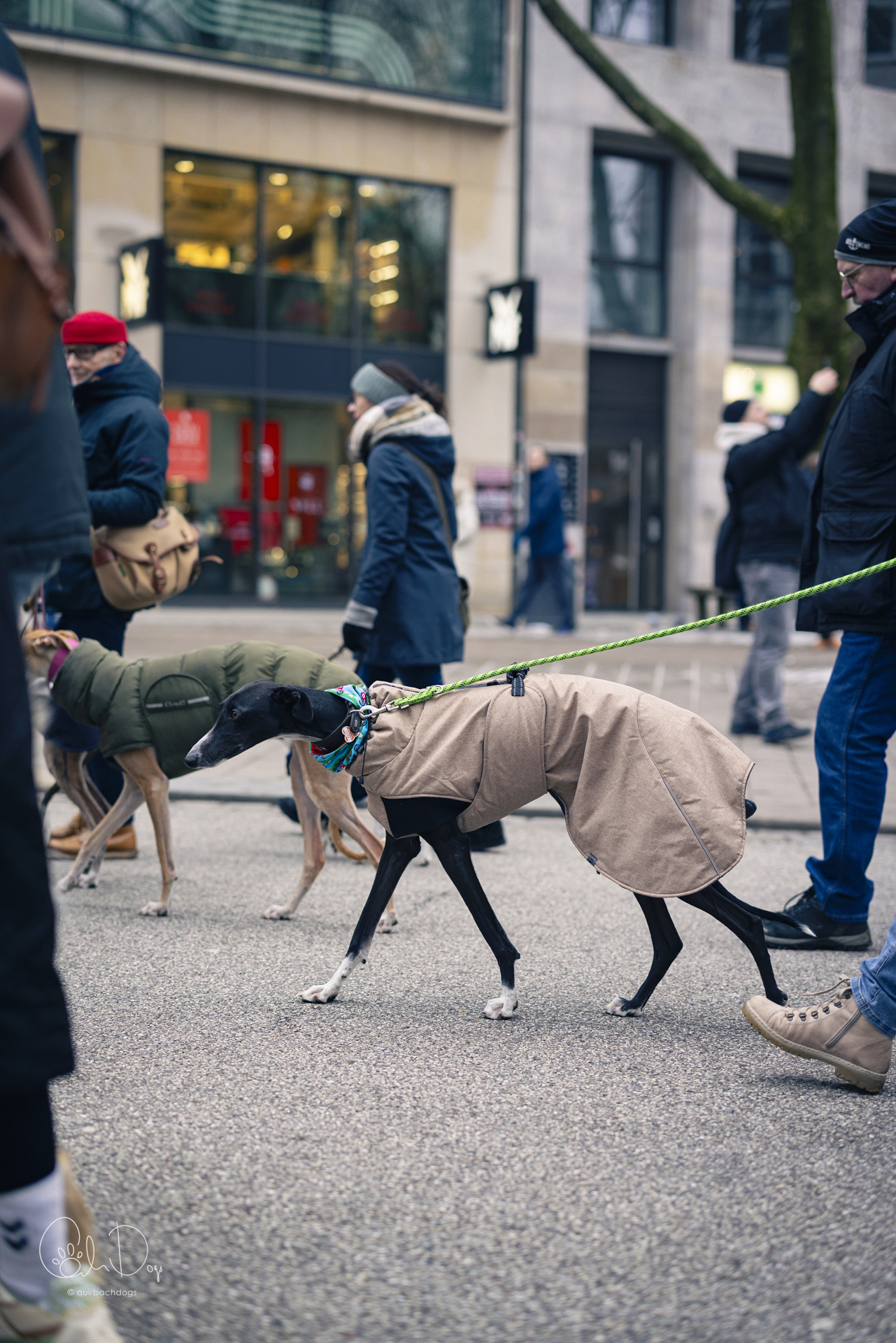 Quirbach Photography