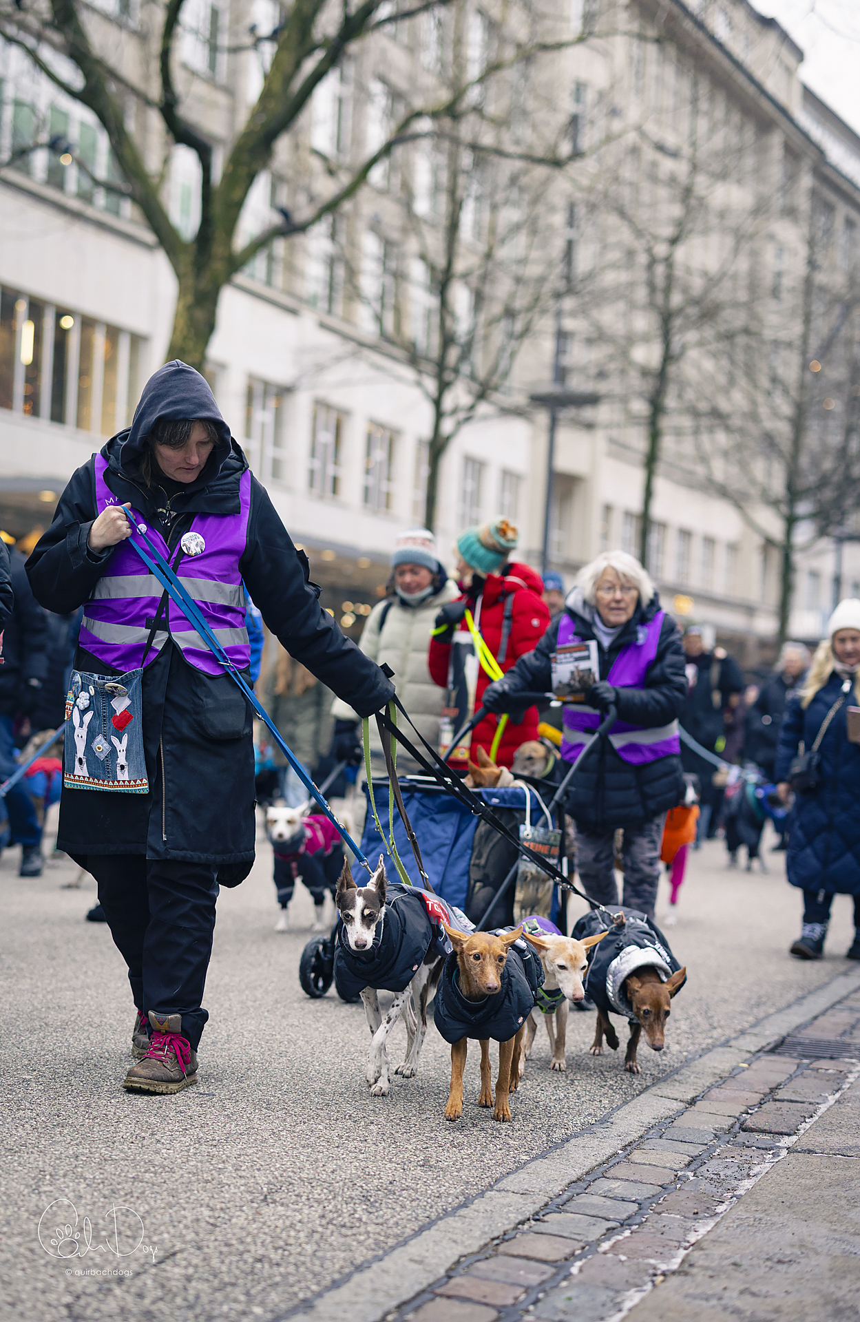 Quirbach Photography