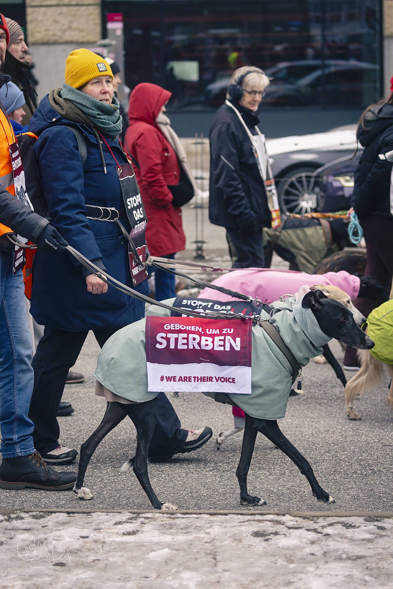 Quirbach Photography