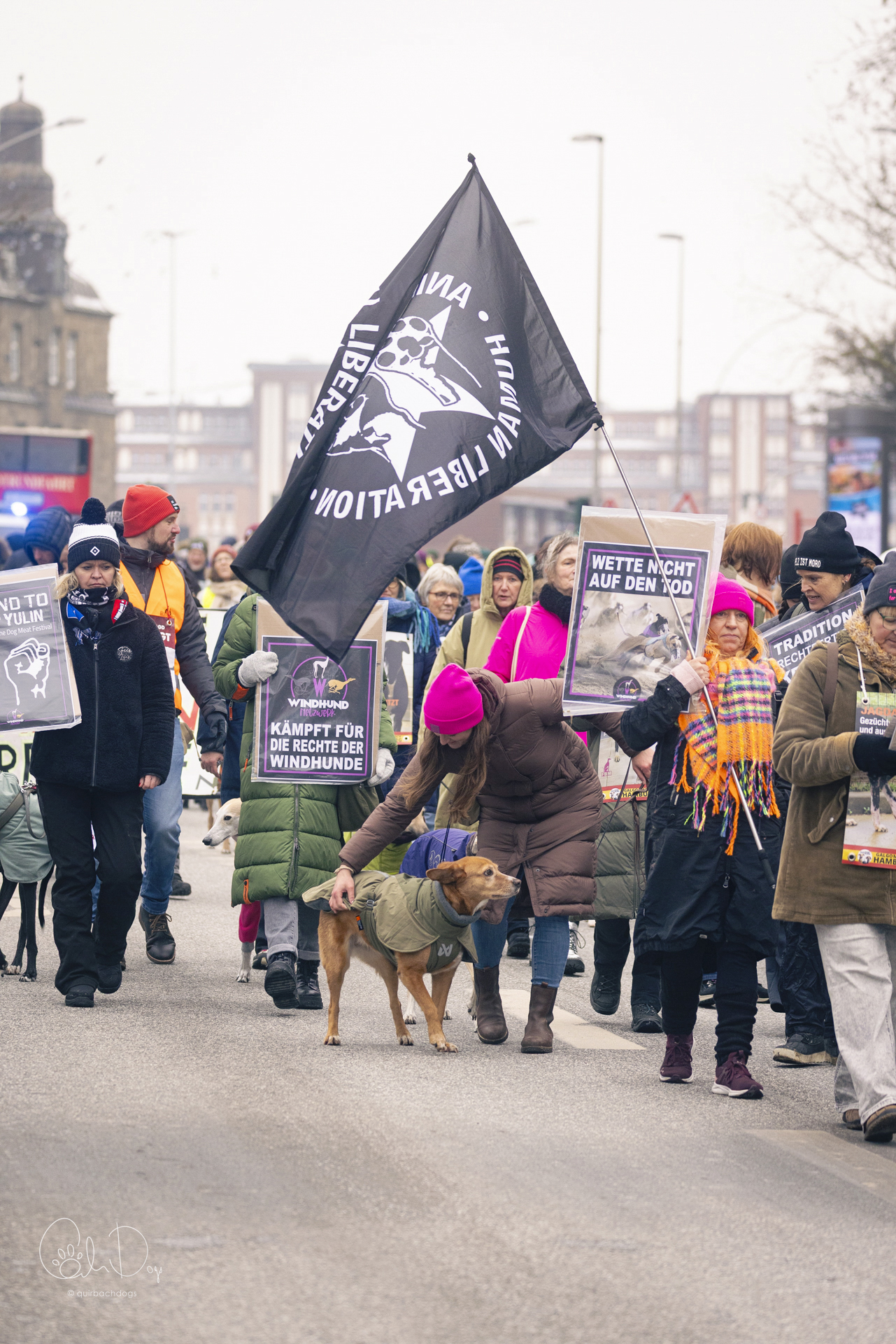 Quirbach Photography