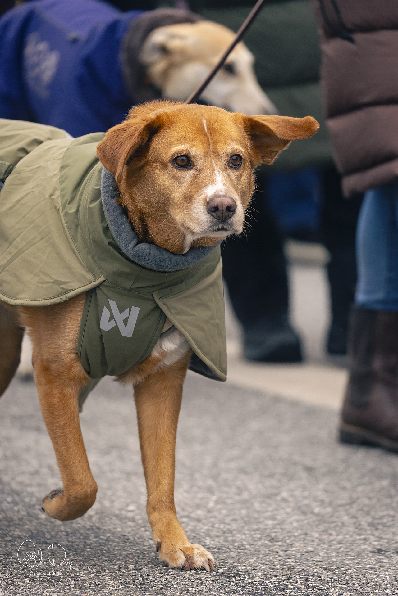 Quirbach Photography