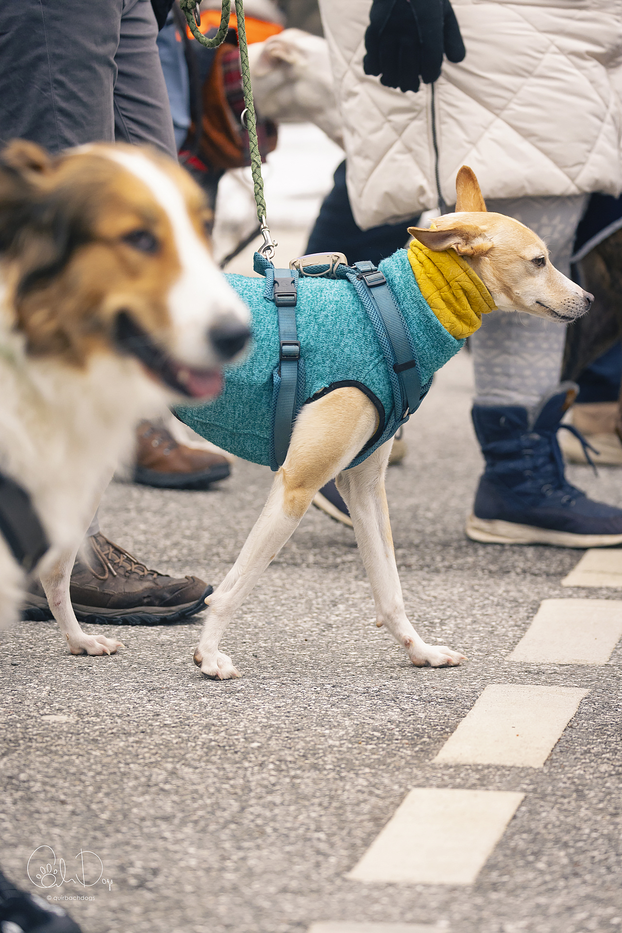 Quirbach Photography