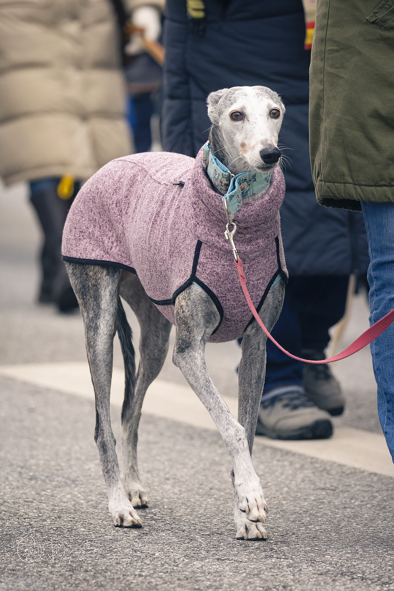 Quirbach Photography