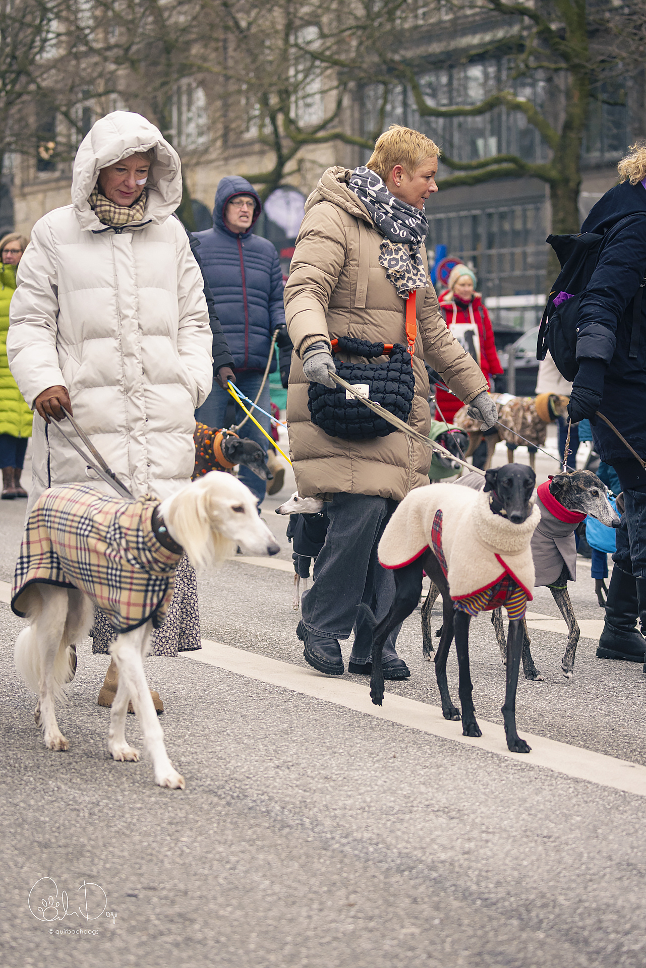 Quirbach Photography