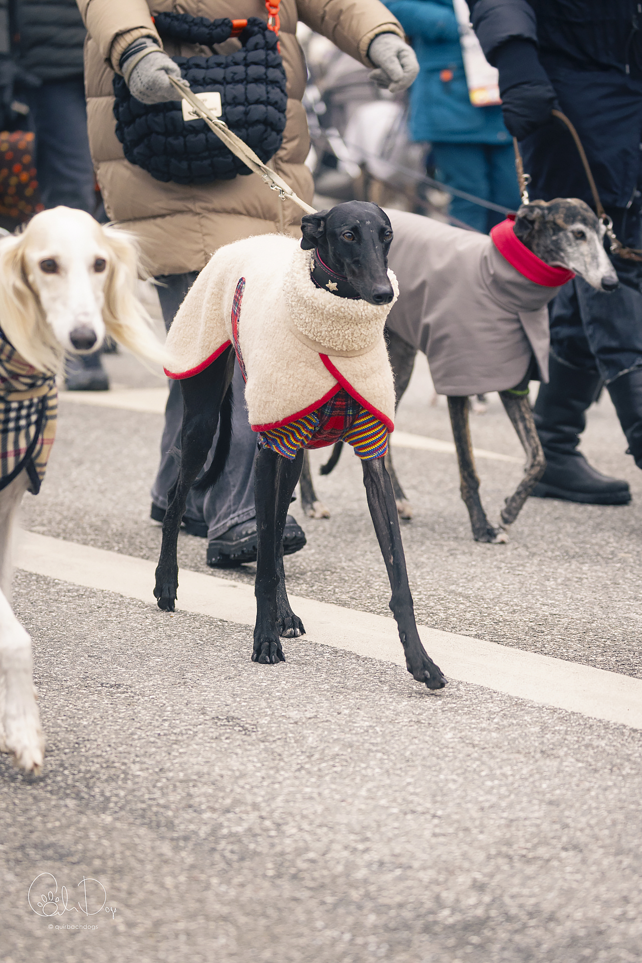 Quirbach Photography