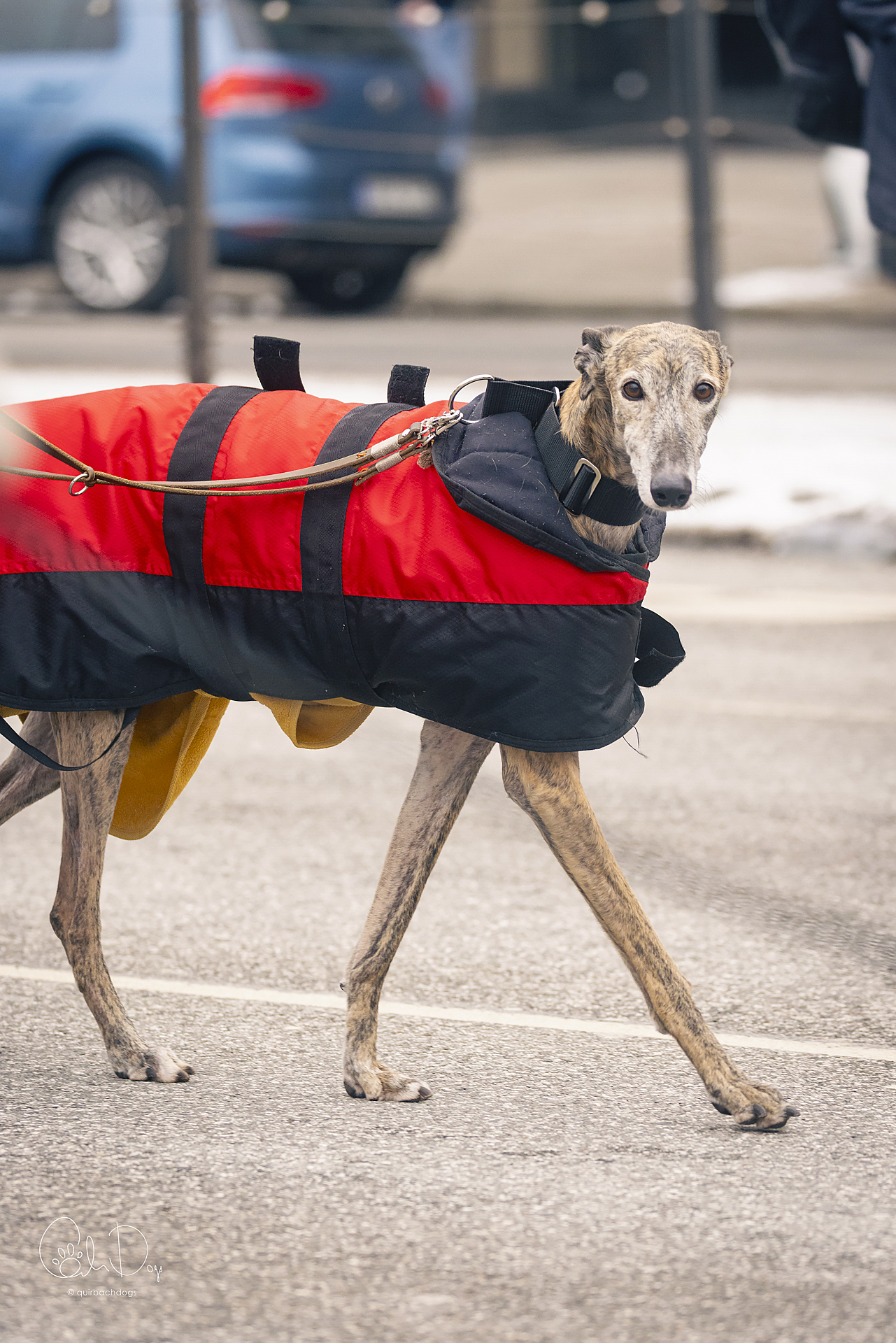 Quirbach Photography