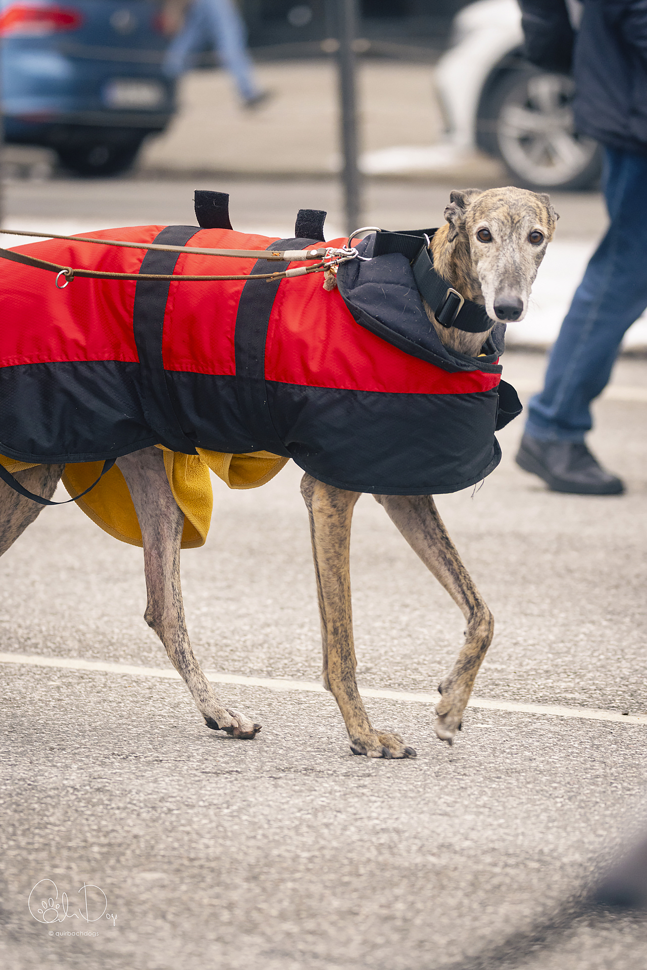 Quirbach Photography