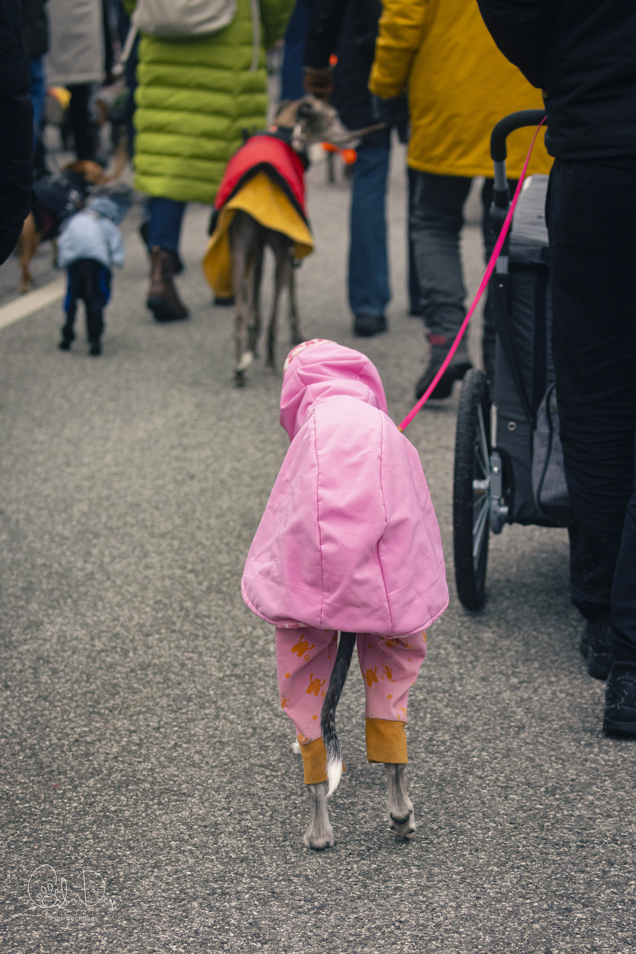 Quirbach Photography