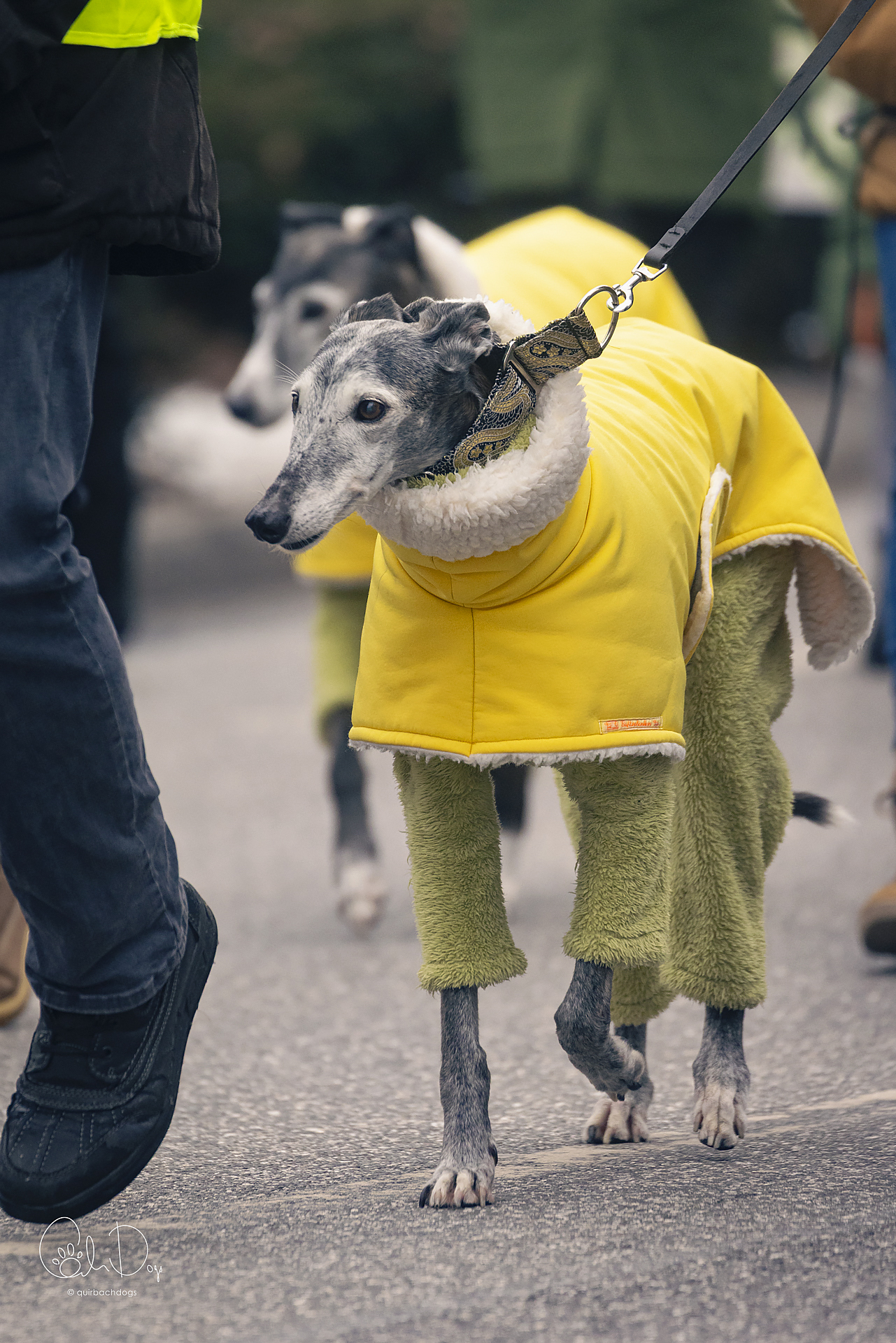 Quirbach Photography