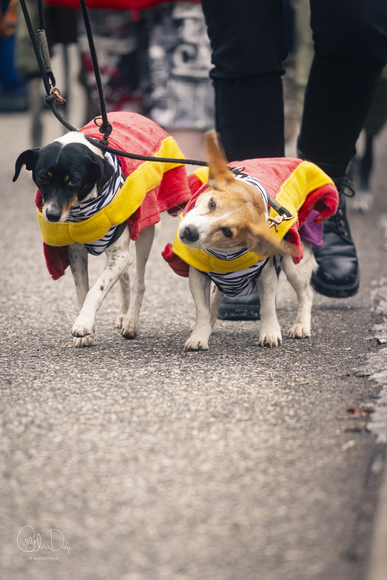 Quirbach Photography