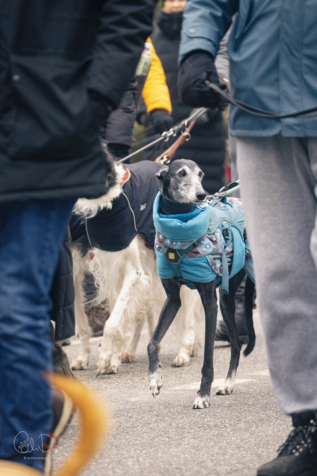 Quirbach Photography