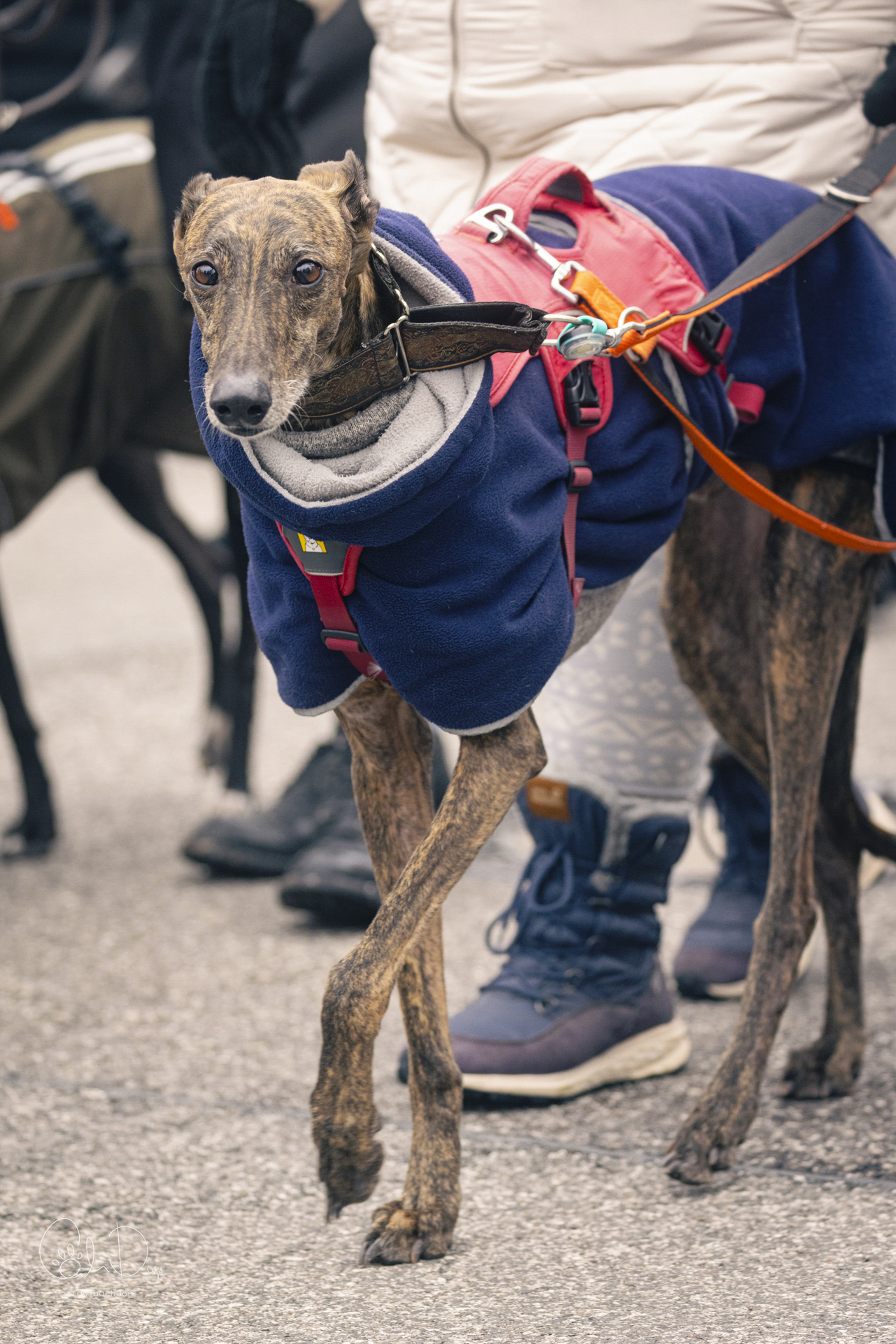 Quirbach Photography