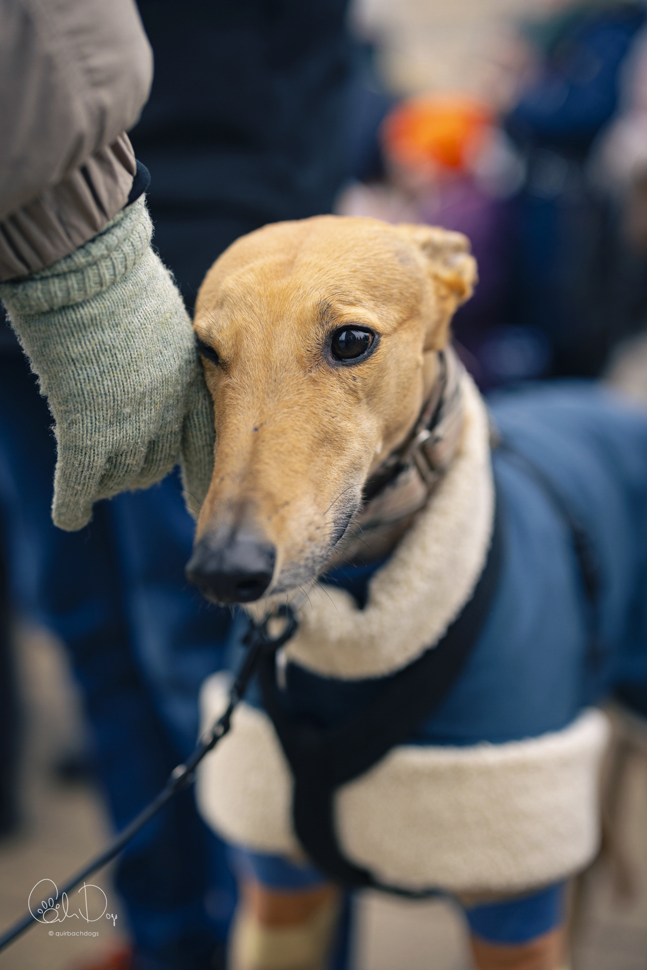 Quirbach Photography